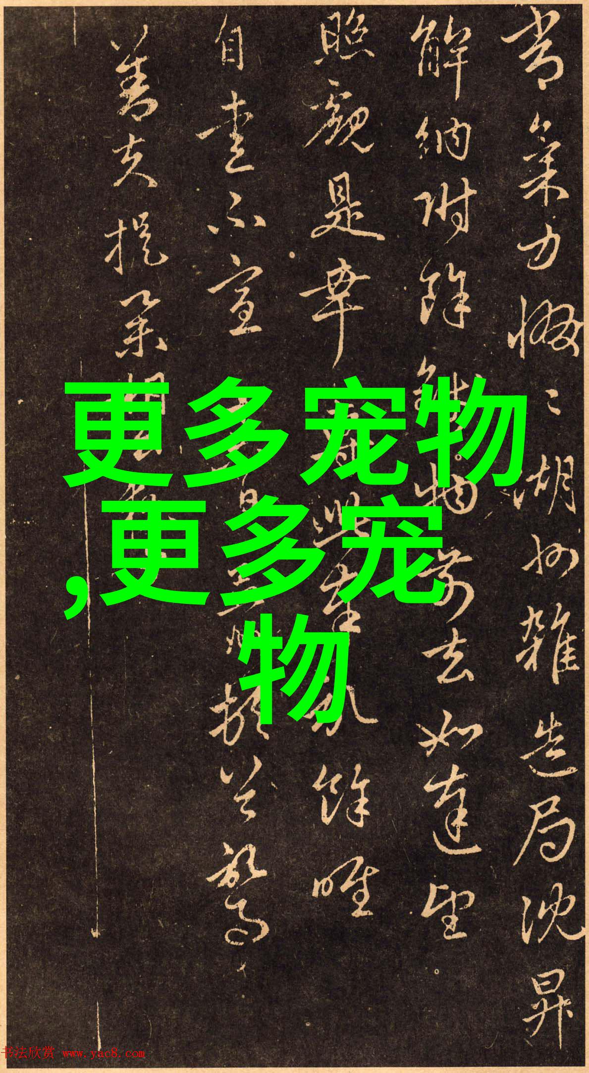 上班族该怎么养狗
