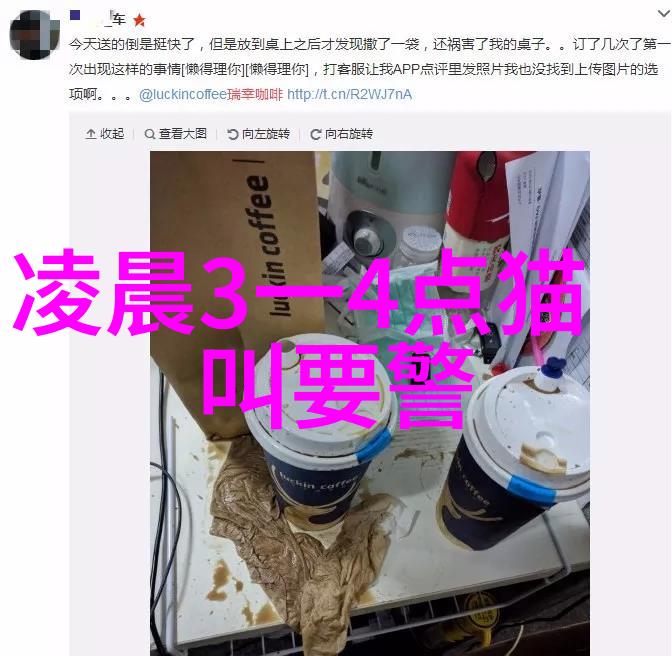 索马里猫长成什么样 索马里猫品种外形介绍图片欣赏