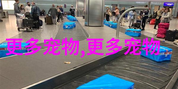 狗狗专用消毒液有哪些
