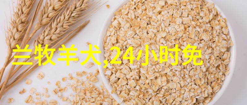哈士奇高吗偷吃狗子突然没食欲 照X光才发现