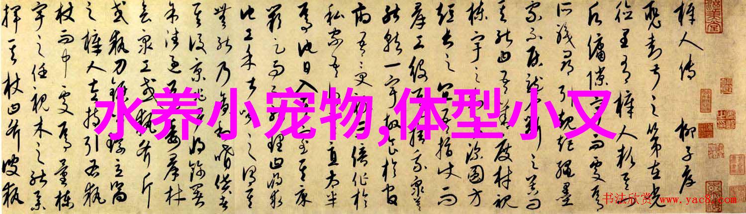 金鱼平时可以喂什么 如果金鱼喂多了怎么办