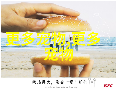约克夏的性格特点是什么