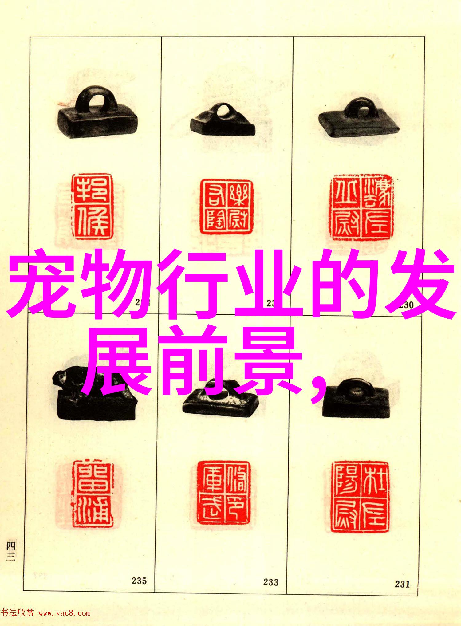 宠物经济扩容催生更多新职业