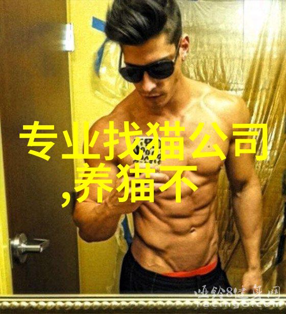 苏格兰折耳猫该如何选购从尾巴看起