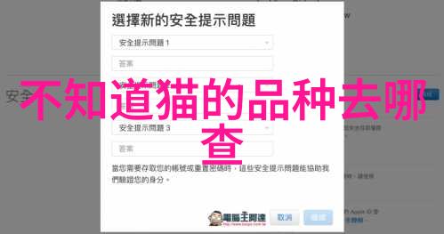 疫情之下宠物怎么安排