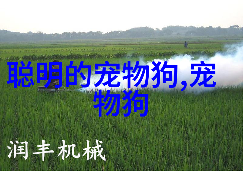 猫猫的化毛膏友什么作用什么时候开始吃化毛膏