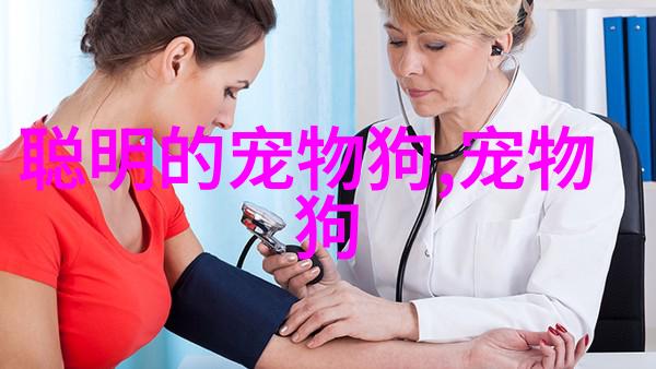 训练狗狗跟脚随行的方法 出门再也不怕它横冲直撞