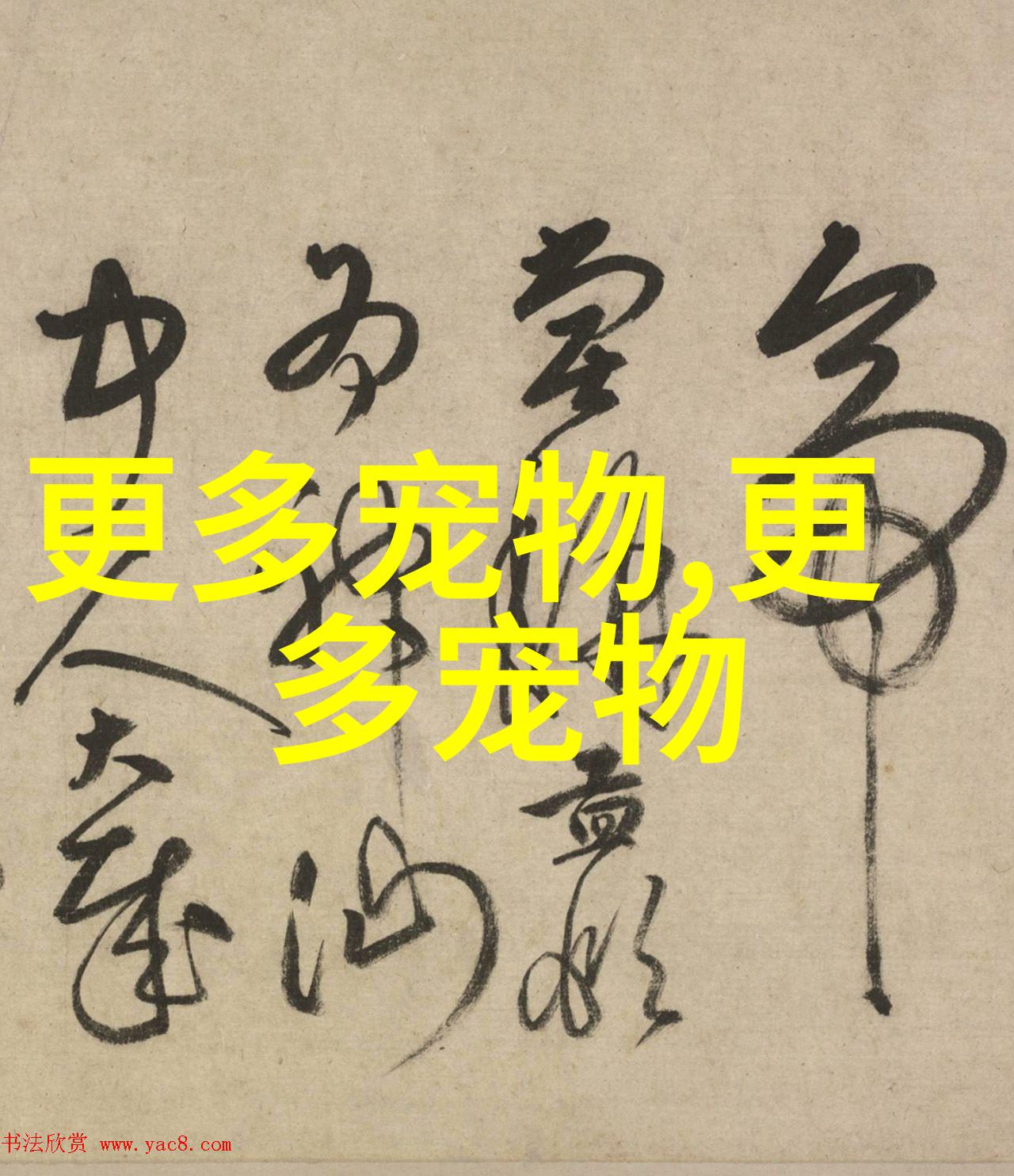 美国可卡特征及饲养方法