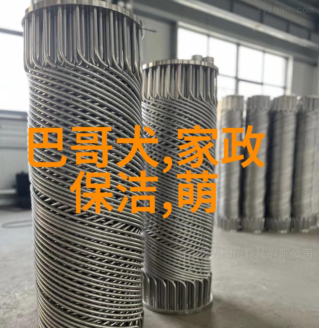 买狗一时爽事后火葬场的7种狗建议不要盲目入手