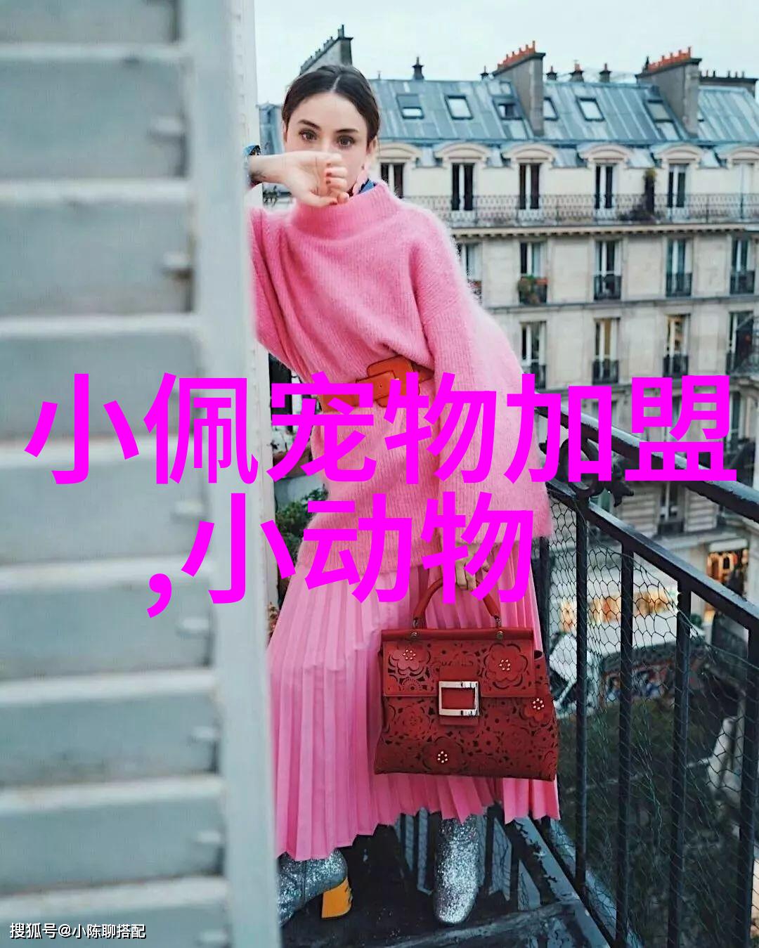 萨摩耶因为爱一个小男孩火遍网络 用心照顾宝宝