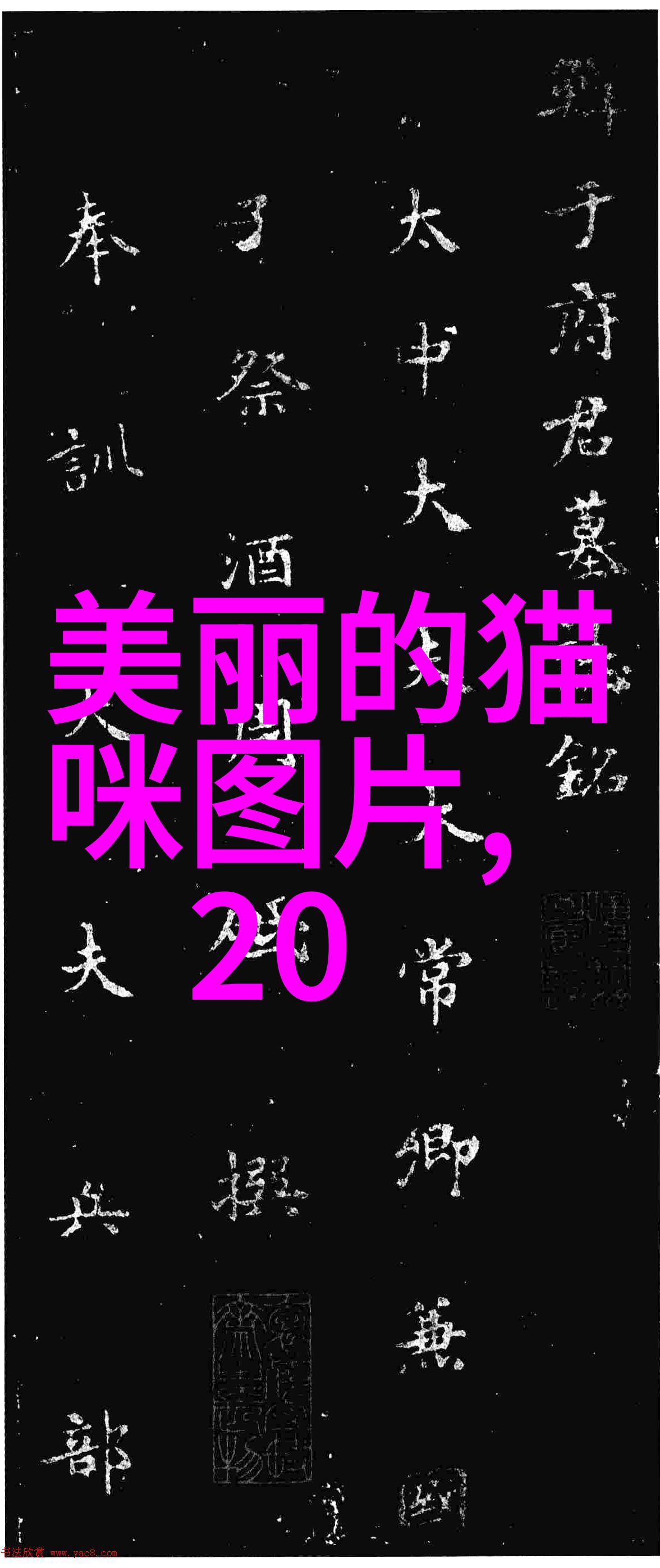 宠物SPA需要注意哪些事项