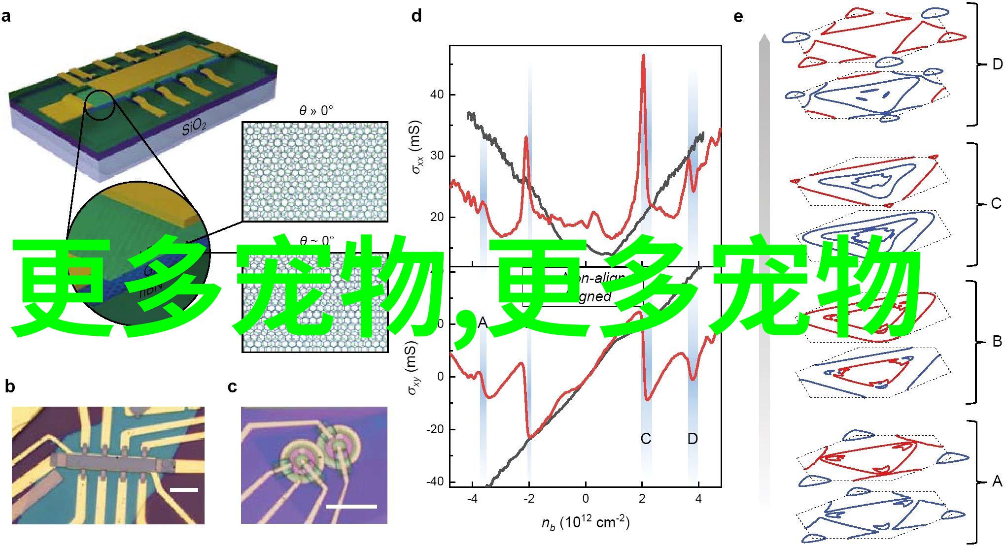 私人可以养孔雀吗