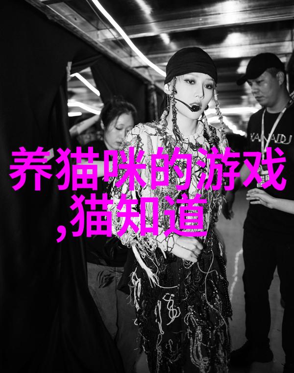 纯种猫咪非纯种猫咪究竟选哪个比较好