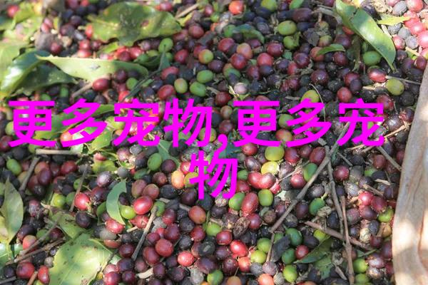 孔雀鱼温度多少合适