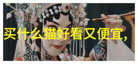 猫癣是什么猫咪是怎么得病的