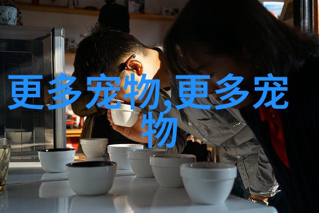养小狗需要准备什么东西