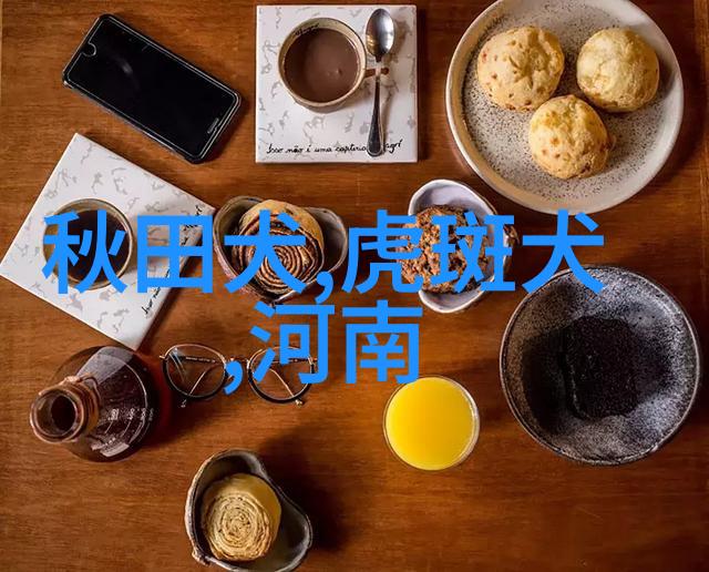 桥头观赏鱼店在哪里