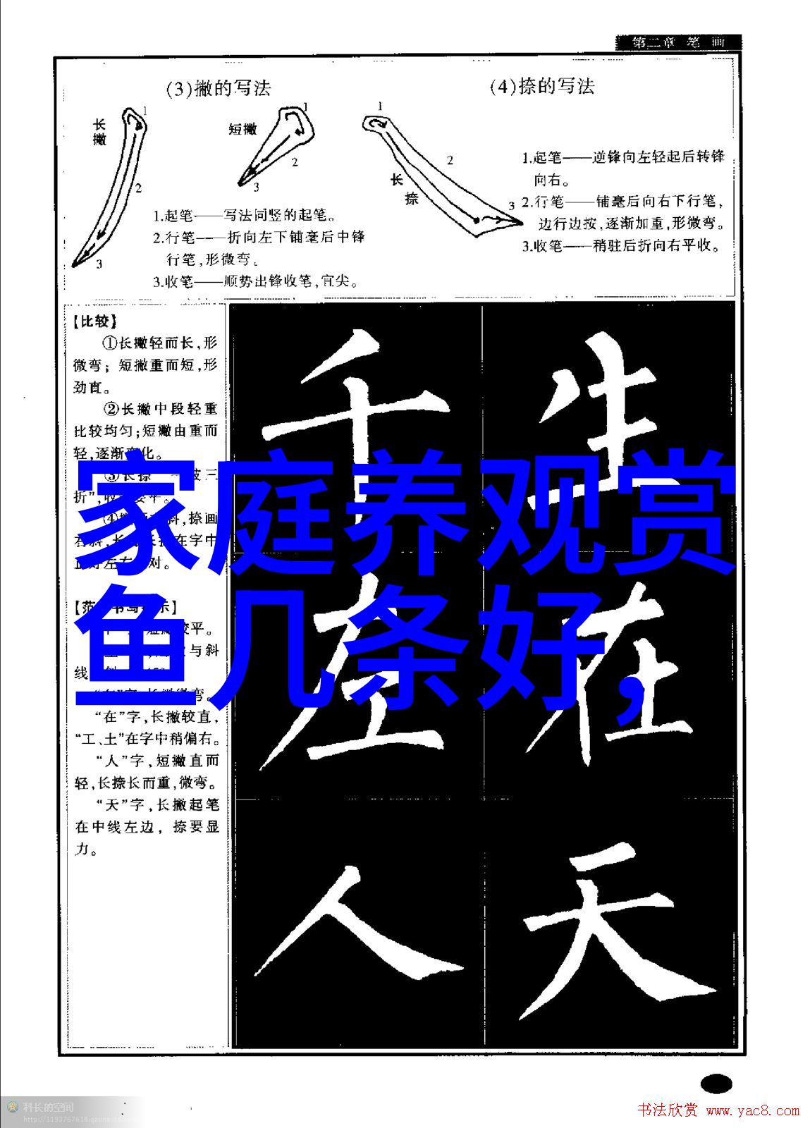 观赏鱼扎堆是缺氧吗