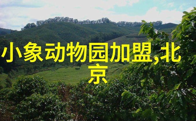 进博会宠物医药赛道火爆 预计2025产业规模将超8000亿元
