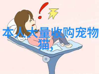 缅因猫猫咪标准是什么缅因猫外貌标准特征