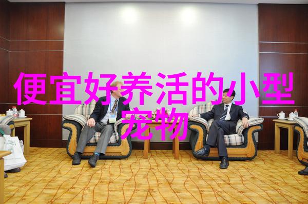过背金鱼品种介绍习性简介图片欣赏过背金龙好养吗