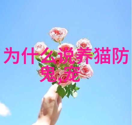 猫爬架怎么养护猫咪爬架养护注意事项