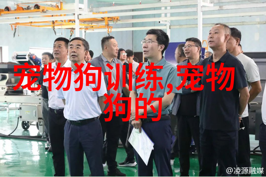 训练狗狗拒绝他人食物 保护狗狗从吃做起