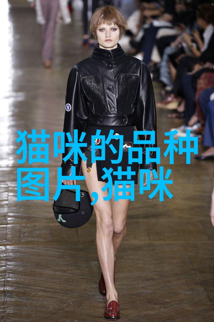 猫驱虫药种类有哪些分别有什么功效