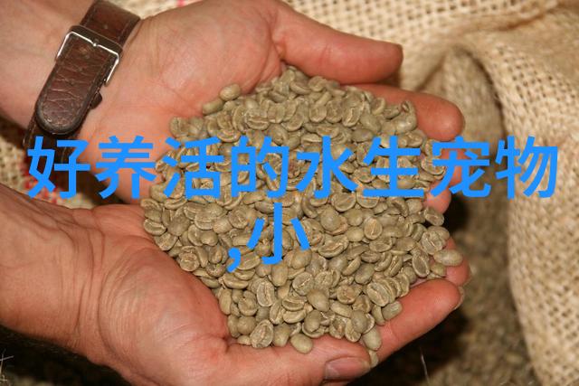 金鱼失漂是为什么怎么治疗 不要迅速的改变温度