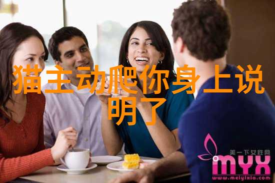 苏格兰折耳猫能活到多少岁苏格兰折耳猫的寿命