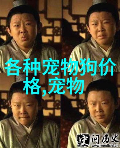智能抗焦虑狗窝诞生 可自动识别狗狗情绪给ta放音乐