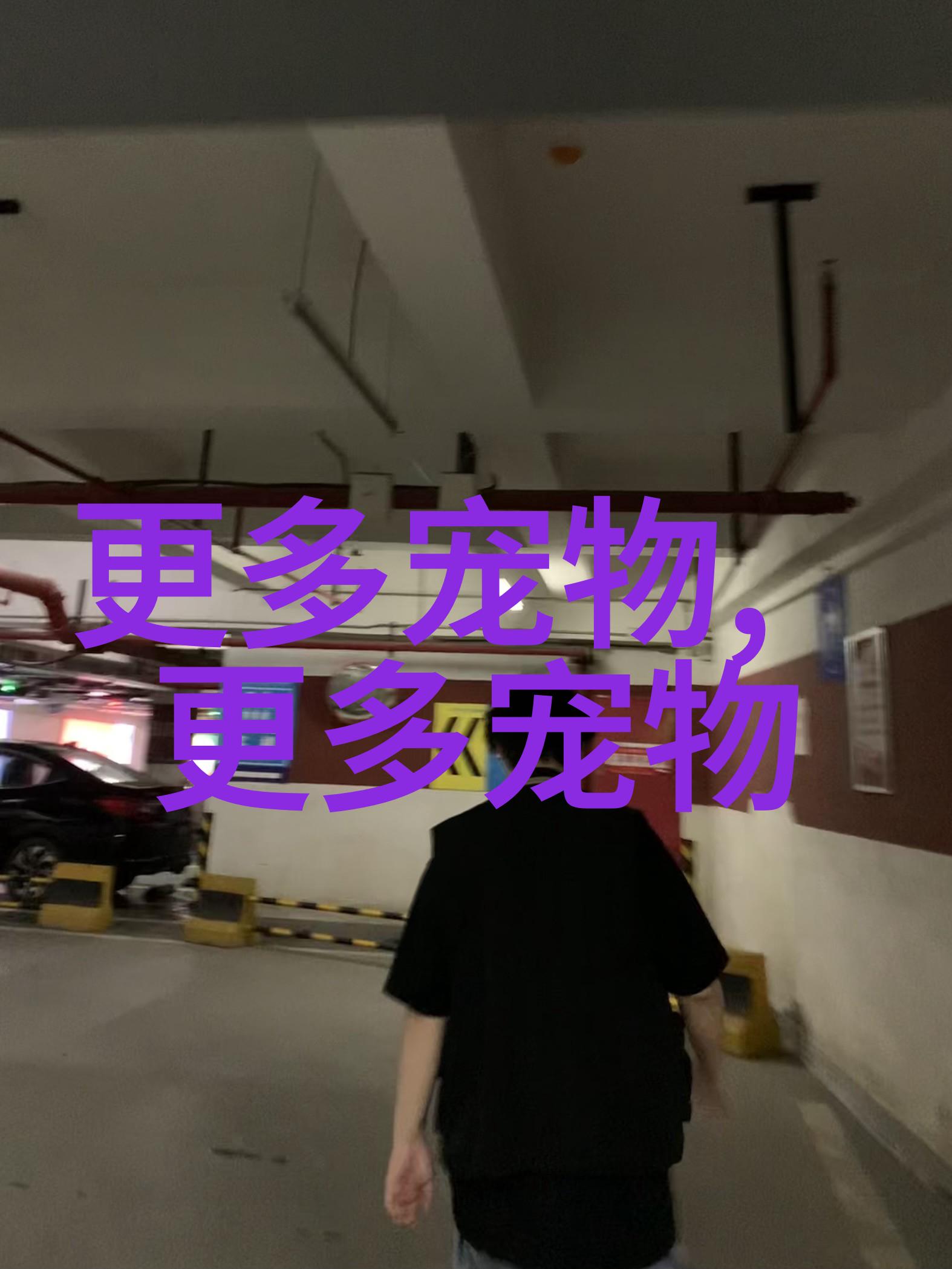 宠物狗怎么养干净
