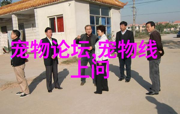 伴宠机器人能给宠物喂食