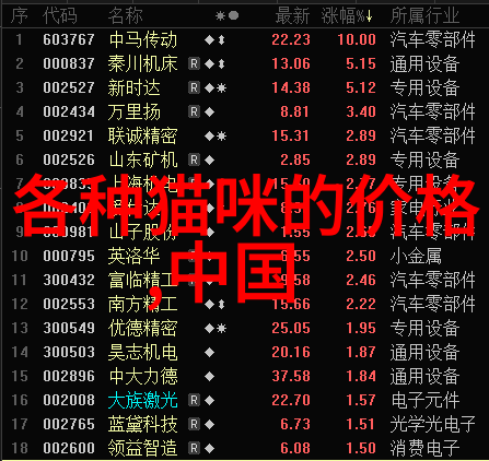 让猫咪在室内也能快乐生活的小窍门