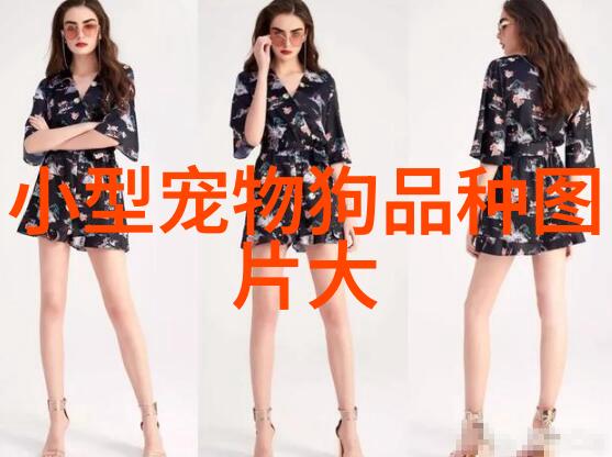 20几天小狗肚子消化不好怎么办