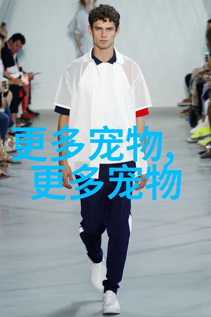 怎么领养小狗狗