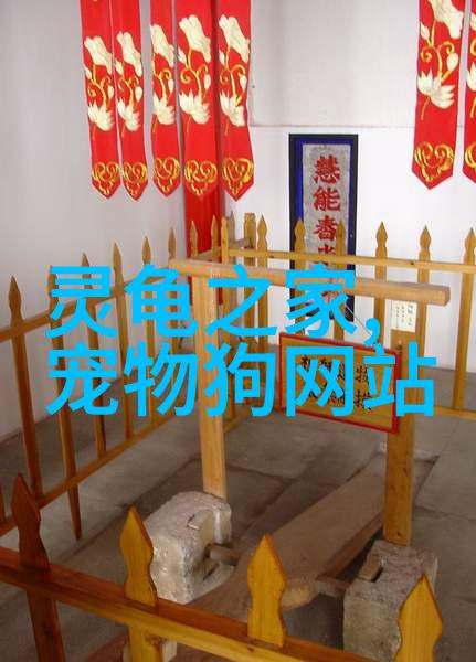 爱心人士筹款55万元救下70余只狗正寻找领养人