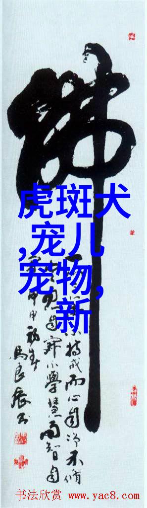 免费送养宠物最终可能变成一场套路满满的骗局