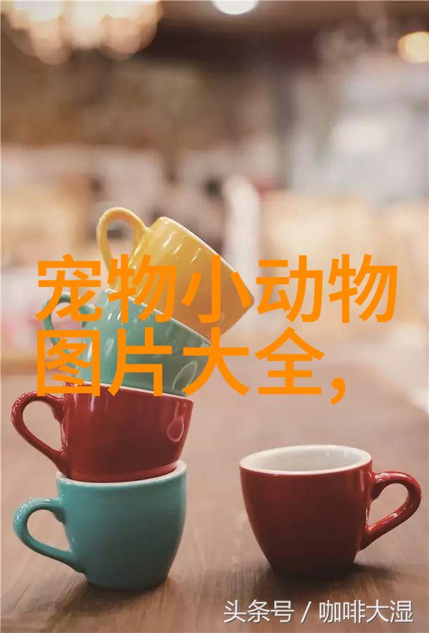适合狗狗的温度是多少正常(狗狗的正常温度是多少)