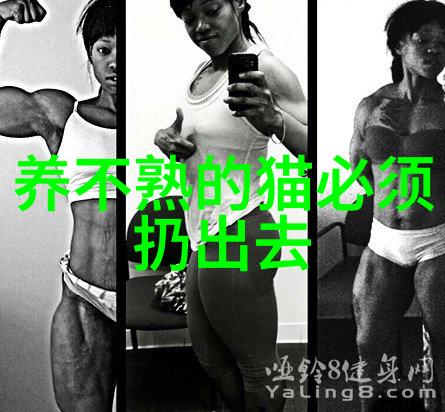 苏格兰折耳猫起源介绍