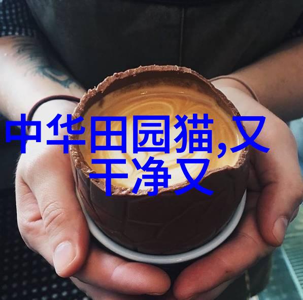 猫能吃蛋清吗宠物猫咪能吃蛋黄吗 不能吃生鸡蛋的