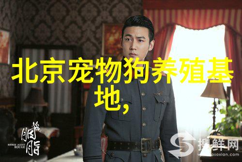 2个月大的小狗容易死吗