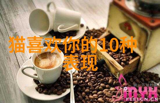 猫毛囊炎症状有哪些 轻度毛囊炎治疗办法