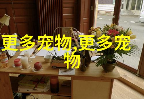 泰迪发烧了怎么办