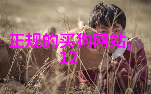 那些年被大叔大妈养大的宠物不分先后