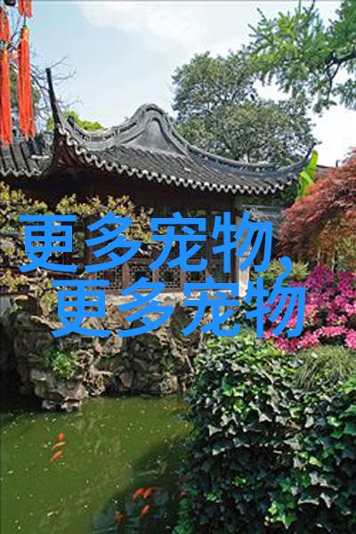 训练可卡犬衔取东西的方法