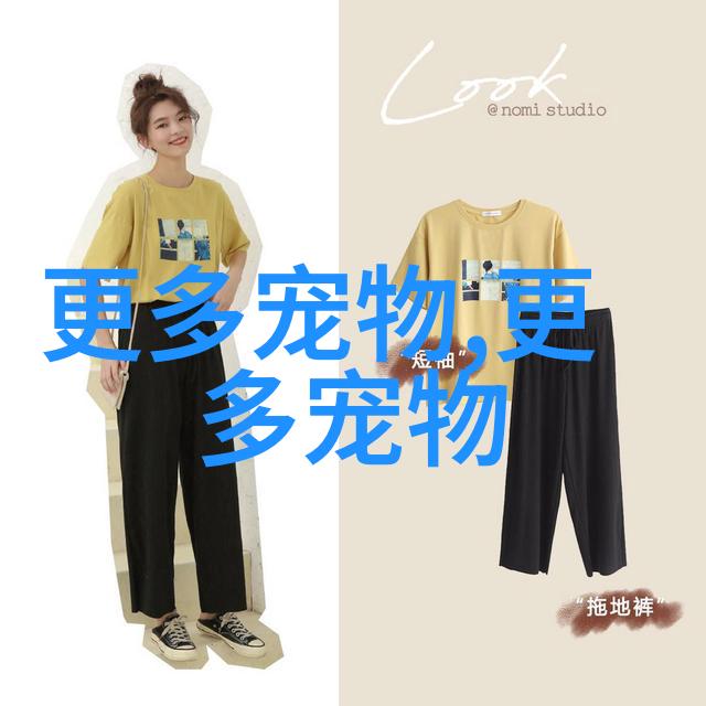 如何训练狗狗听话自己训练