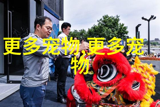 豹龟特征及生活习性
